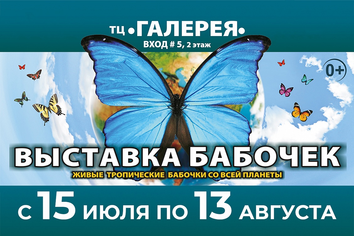 Выставка «Планета живых бабочек»