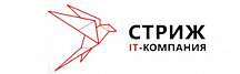 IT-компания «Стриж»