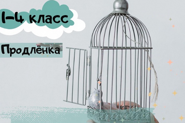 Детский центр «Сириус»